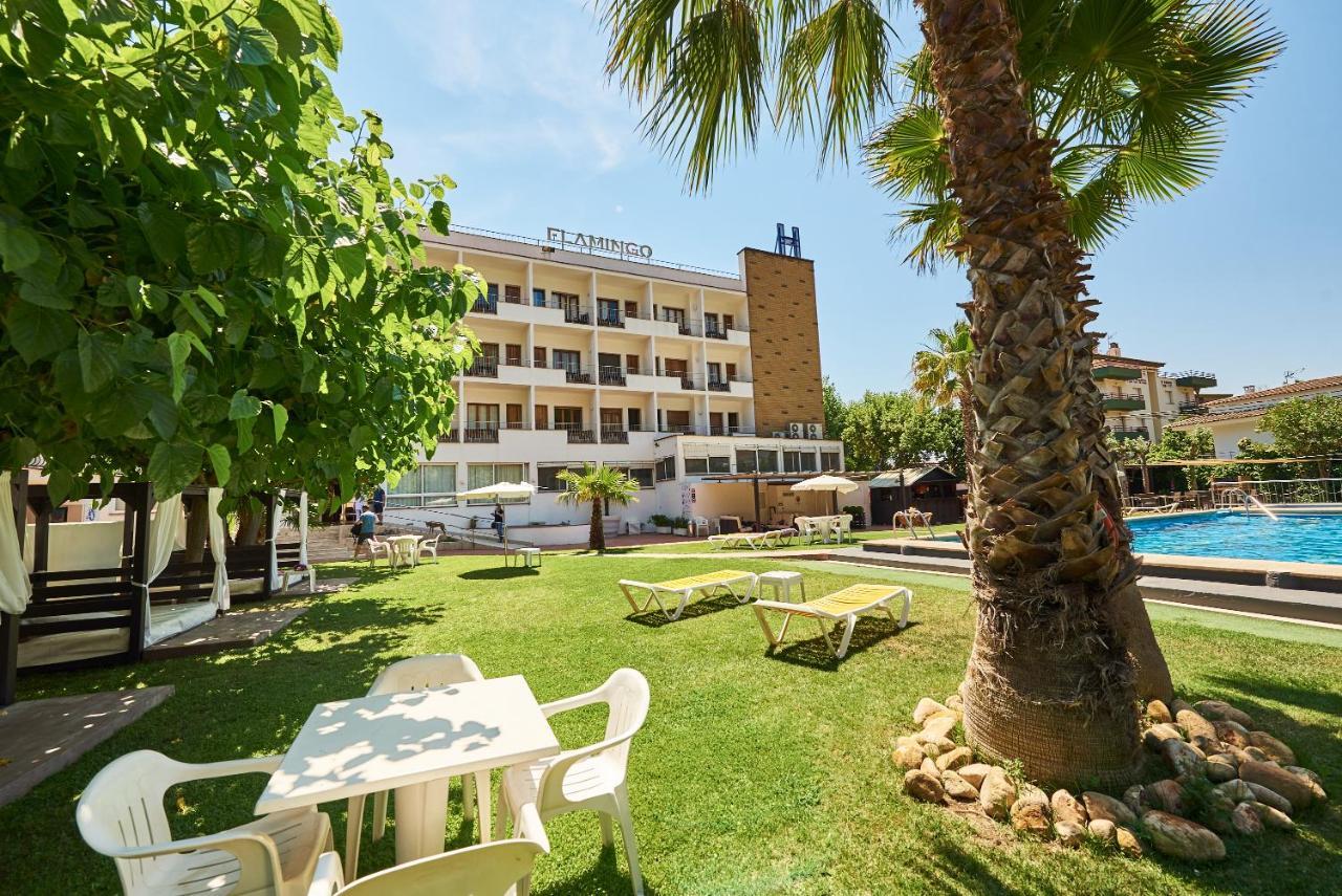 Checkin Flamingo Hotel L'Estartit Kültér fotó